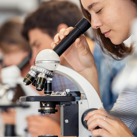 HSC Workshop: Biology